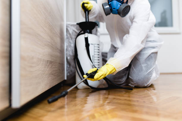 Best Pest Prevention Services  in Elgin, IL