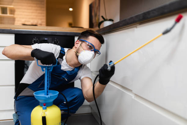 Best Emergency Pest Control  in Elgin, IL
