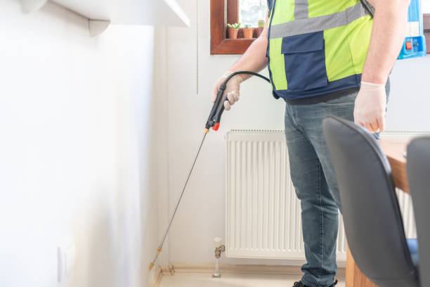 Best Rat Extermination Near Me  in Elgin, IL