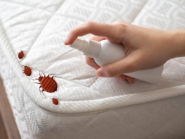 Professional Pest Control in Elgin, IL