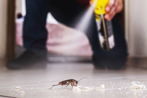 Wildlife Control Services in Elgin, IL