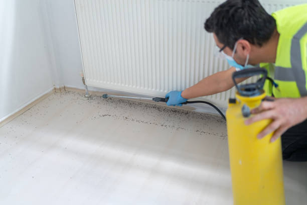 Best Exterminator Services  in Elgin, IL